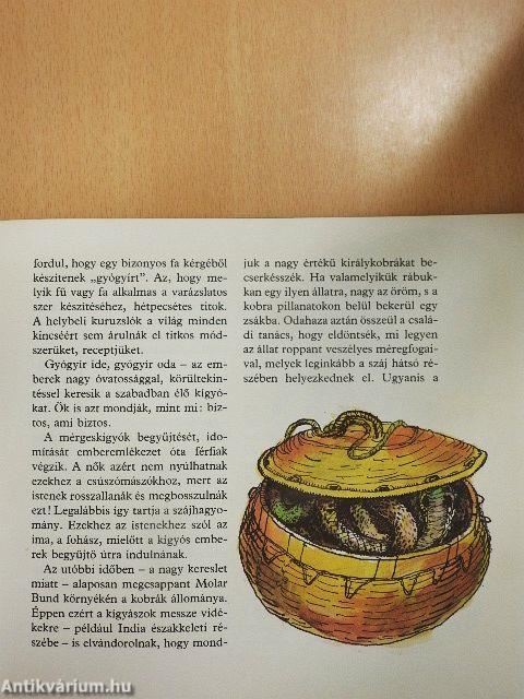 Bolhacirkusz, majomtánc