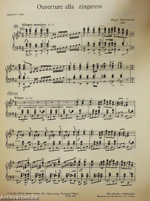 Ouverture alla zingarese für Akkordeon