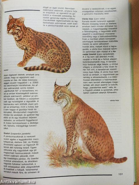 Ezerarcú természet