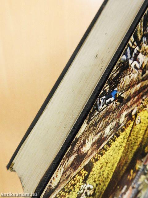 Budapest története III.