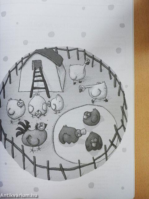 Coccinelle tanári kézikönyv