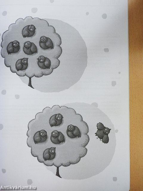 Coccinelle tanári kézikönyv