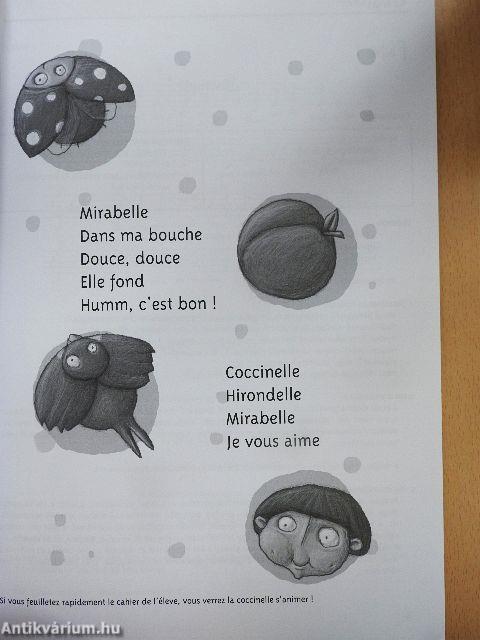 Coccinelle tanári kézikönyv