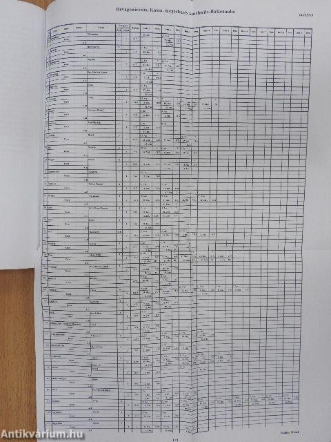 Békéscsaba - Auschwitz-Birkenau retúr - CD-vel