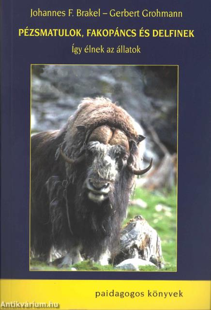 Pézsmatulok, fakopáncs és delfinek - Így élnek az állatok