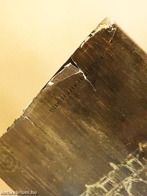 A hiúz a napba néz