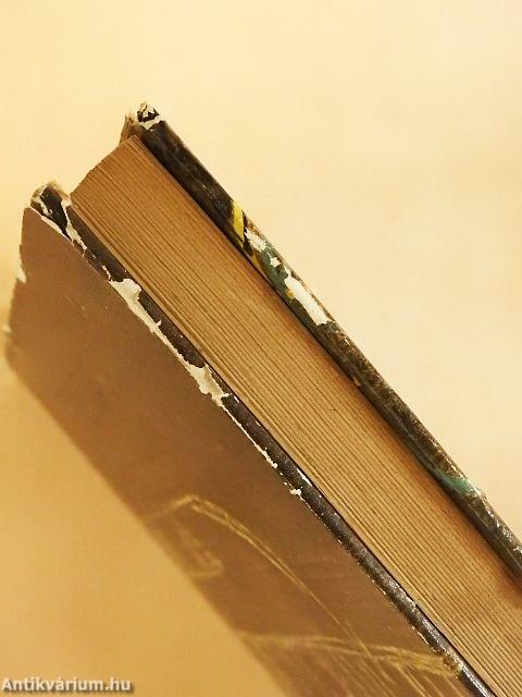 A hiúz a napba néz