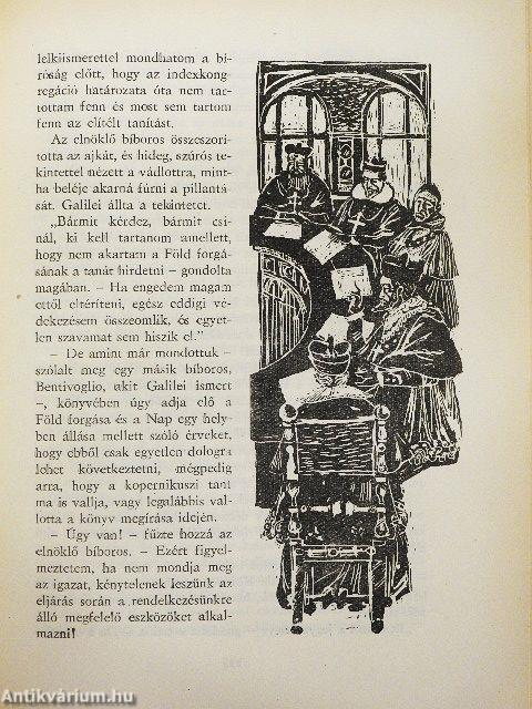 A hiúz a napba néz