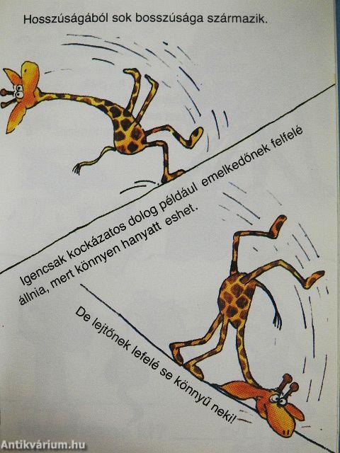 Amit a zsiráfokról feltétlenül tudni kell