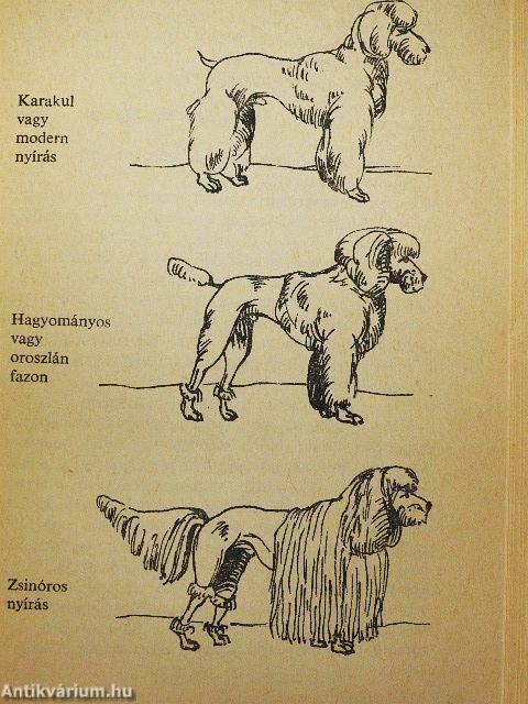 A kutyatartás ábécéje 