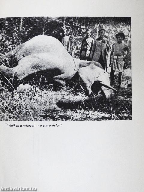 Nagyhírű vadászok nyomában