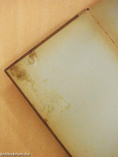 Nagy vállalkozások kora