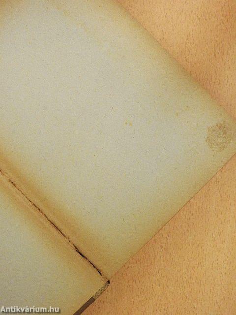 Nagy vállalkozások kora