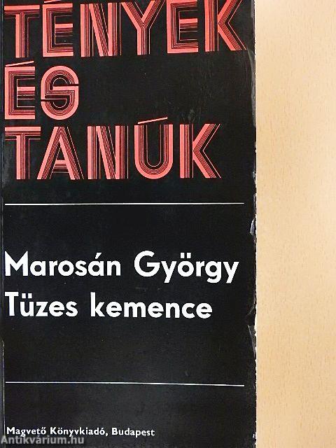 Tüzes kemence