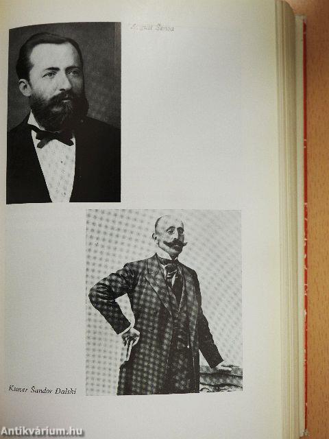 A szerbhorvát irodalom kistükre