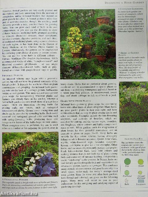 Encyclopedia of Herbs & Their Uses