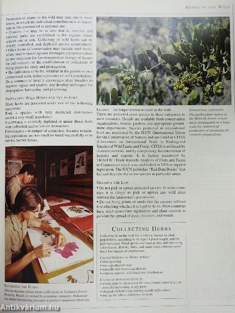 Encyclopedia of Herbs & Their Uses
