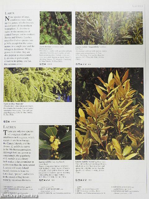 Encyclopedia of Herbs & Their Uses