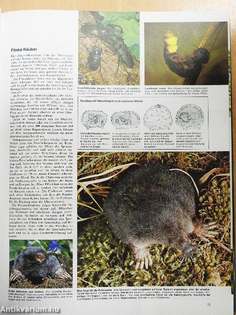 Bildatlas der Tierwelt