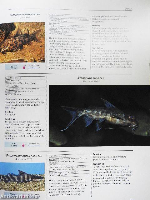 An Illustrated Encyclopedia of Aquarium Fish