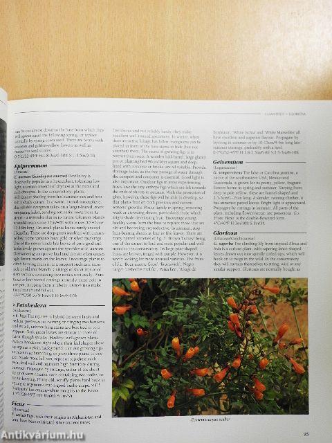 The Conservatory Gardener