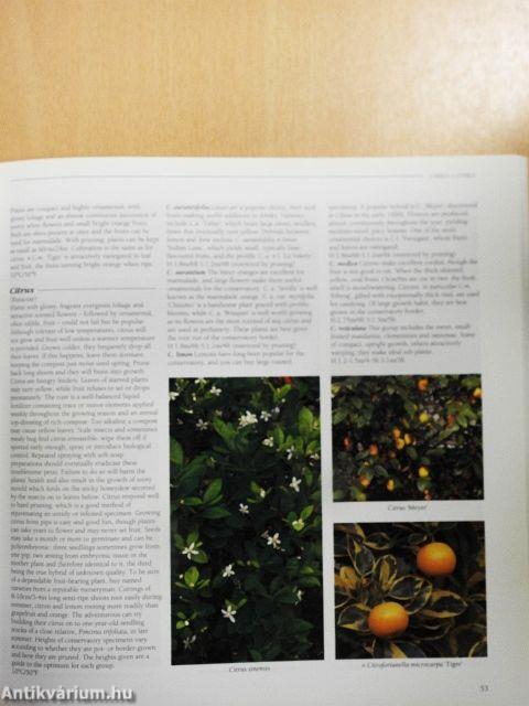 The Conservatory Gardener