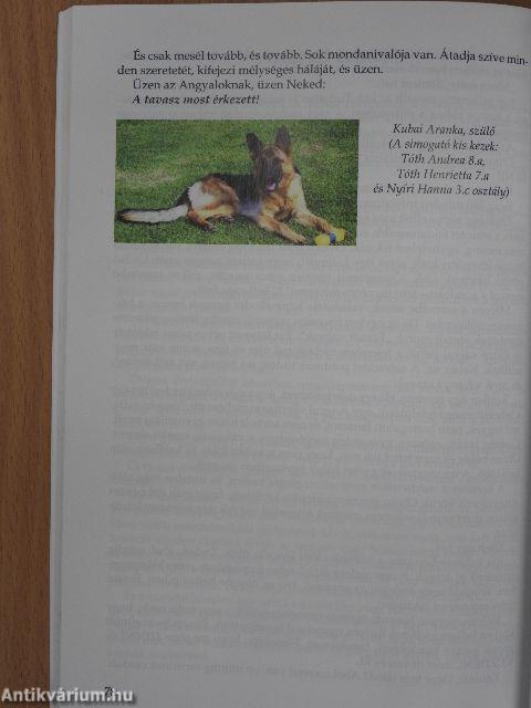 Iskolatörténet és antológia a Béke Utcai Általános Iskola 50. évfordulójára 2015/2016