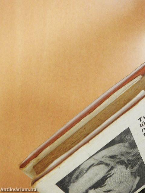 Rugyin/Nemesi fészek