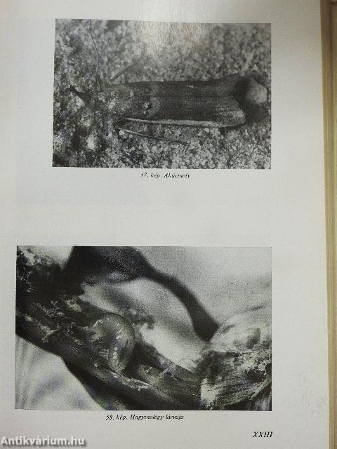 Kertészek új kézikönyve