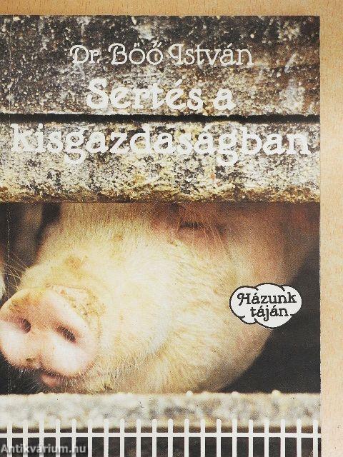 Sertés a kisgazdaságban