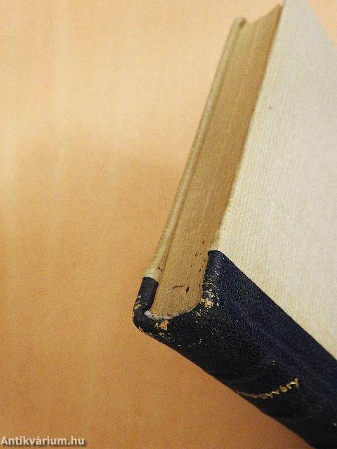 A város meg a sárkány