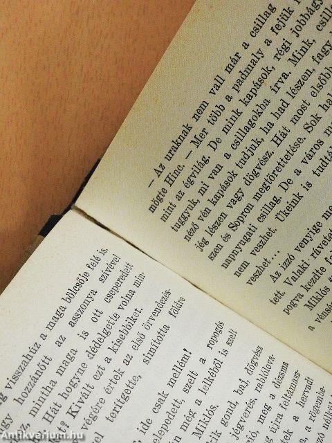 A város meg a sárkány