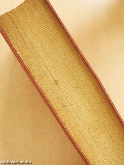 Ditte, az ember lánya