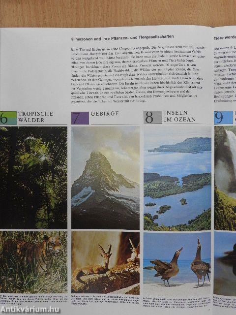 Bildatlas der Tierwelt