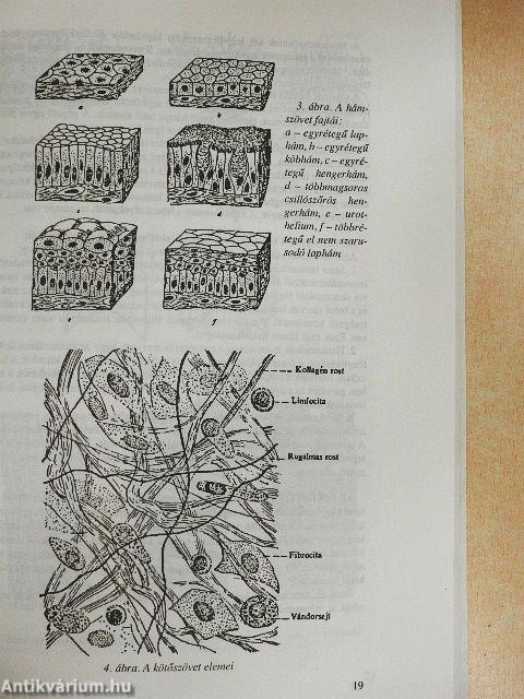 Biológia és egészségtan