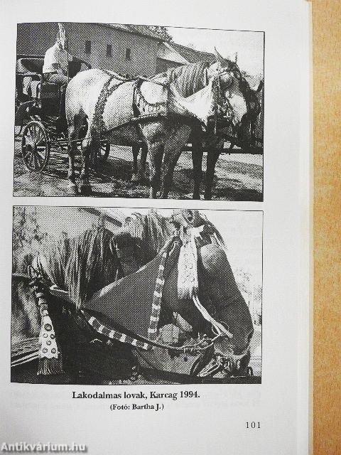 A Kunság népi kultúrájának keleti elemei 