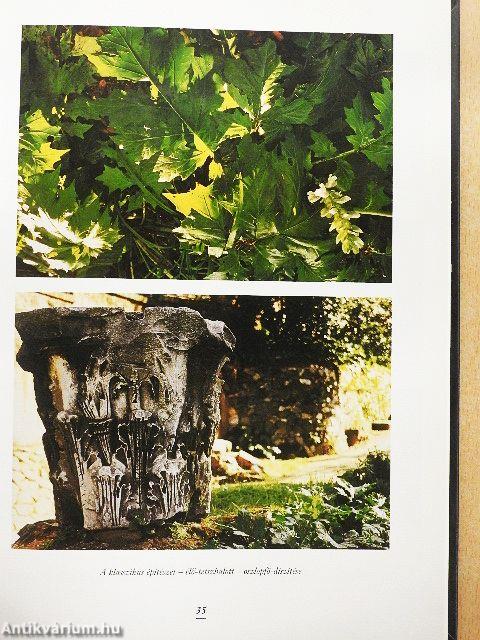 Csete György és Dulánszky Jenő