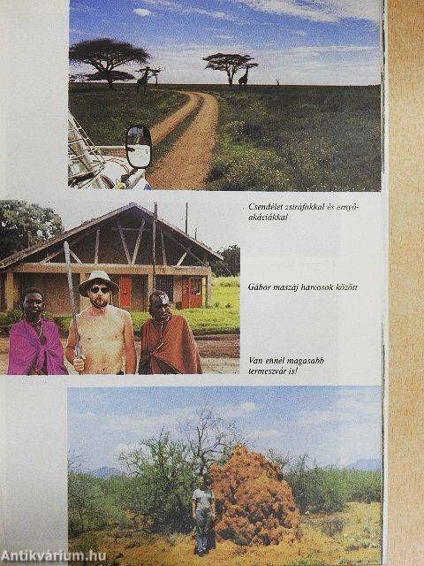 Az éjszaka a vadaké