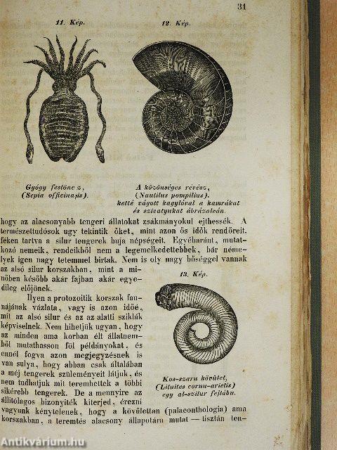 A teremtés természet-történelmének nyomai