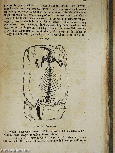 A teremtés természet-történelmének nyomai