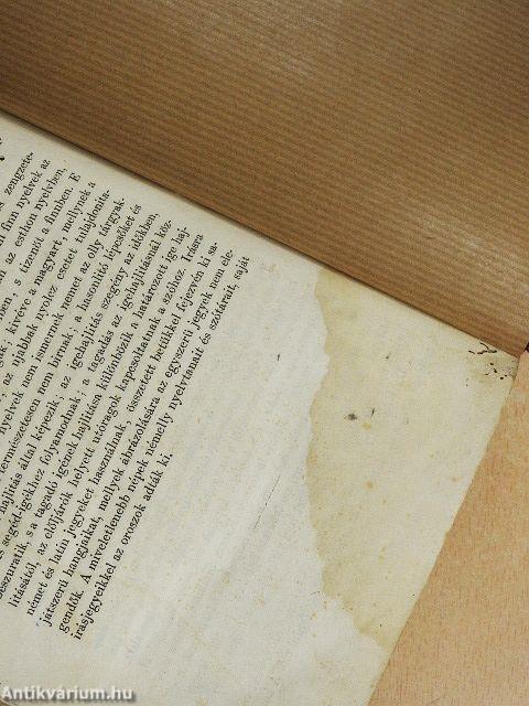 Világtörténelem I.