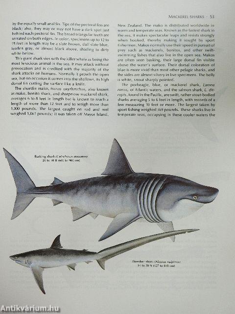 The Fresh & Salt Water Fishes of the World