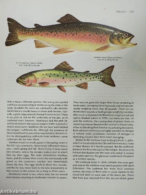 The Fresh & Salt Water Fishes of the World