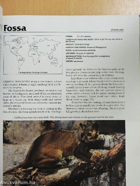National Geographic Book of Mammals