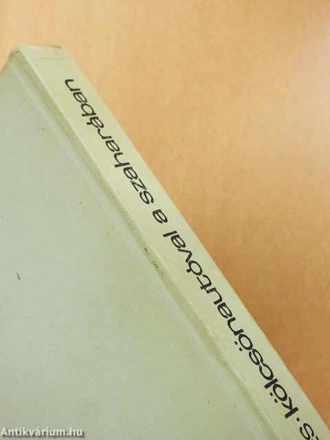 Kölcsönautóval a Szaharában