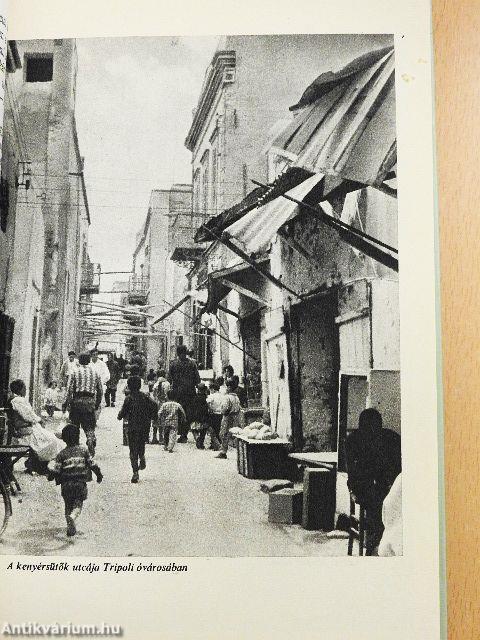 Kölcsönautóval a Szaharában