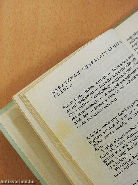 Kölcsönautóval a Szaharában