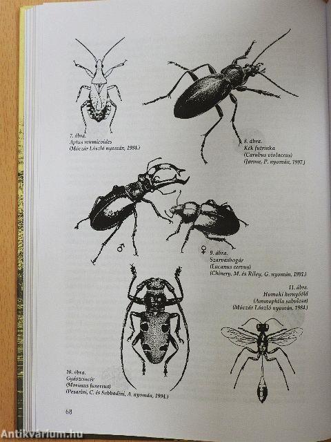 Balatonfüred és Balatonarács története