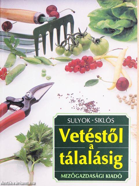 Vetéstől a tálalásig