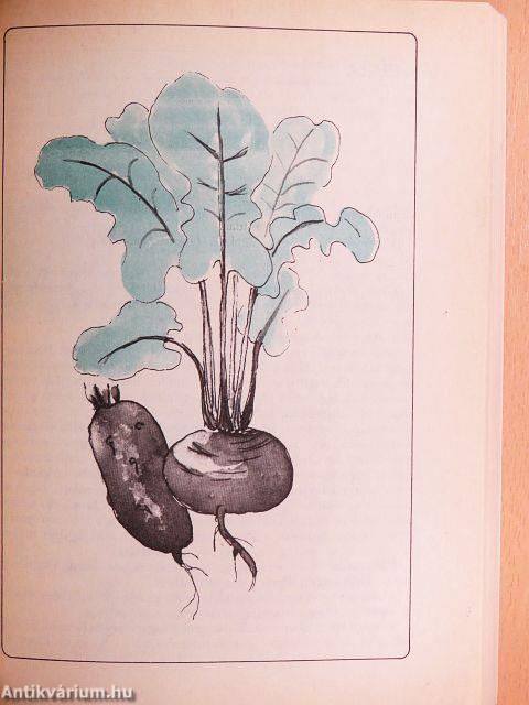 Vetéstől a tálalásig